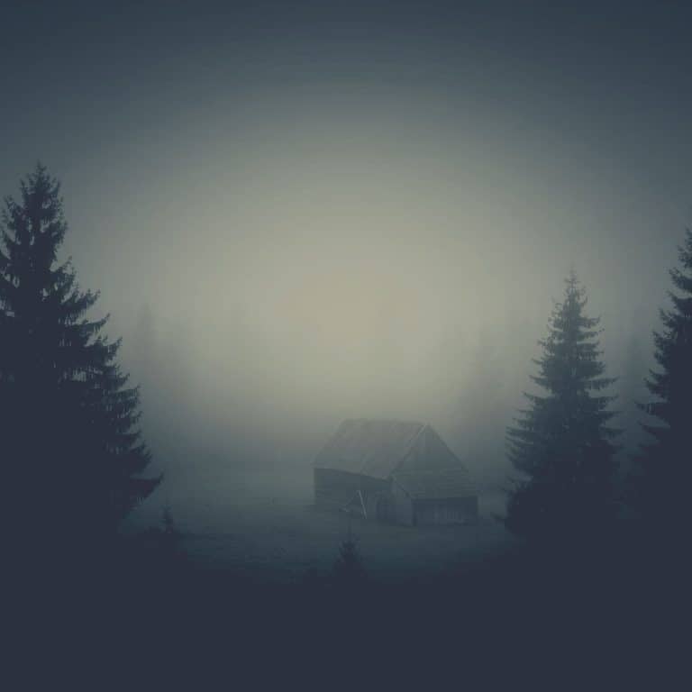 The Haunted Ho(l)mes of Vancouver Island